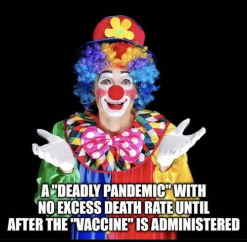 53869a16-e8e1-4322-ba67-888a2609cdac