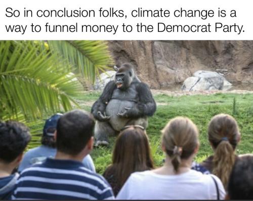 Ape on climate