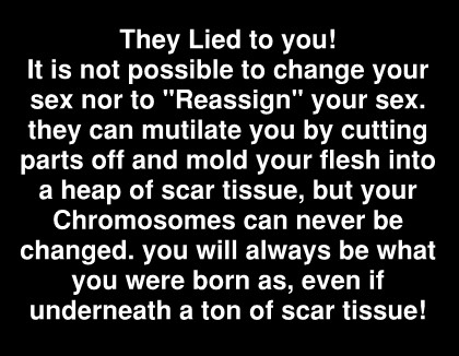 Lied to you