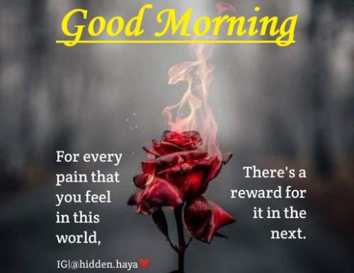 010523 - For every pain