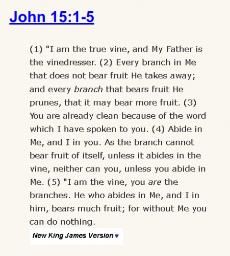 John 15:1-5