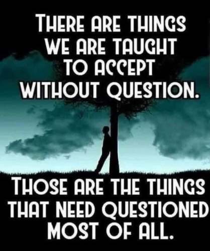 M question