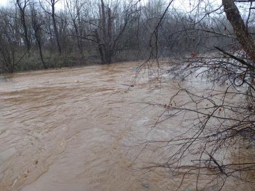 IMG_20230104_104207505