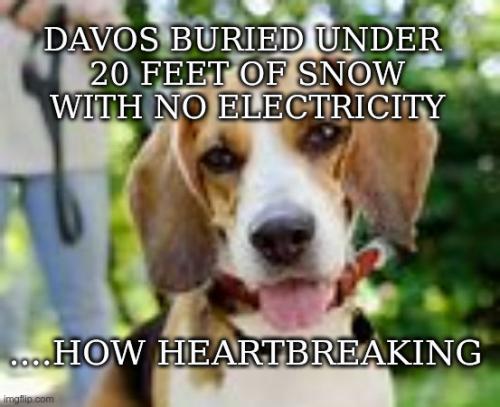 njfeatnjpjuduhywvt2vp5rmujxtrkvq