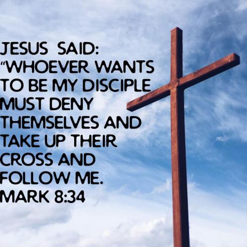 44feccdb-6727-432e-83ca-dc01a07c9869