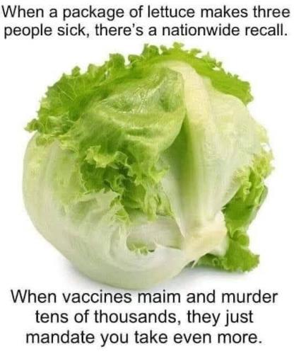 1E8512B2-A905-4026-AAA5-0E0694E16306