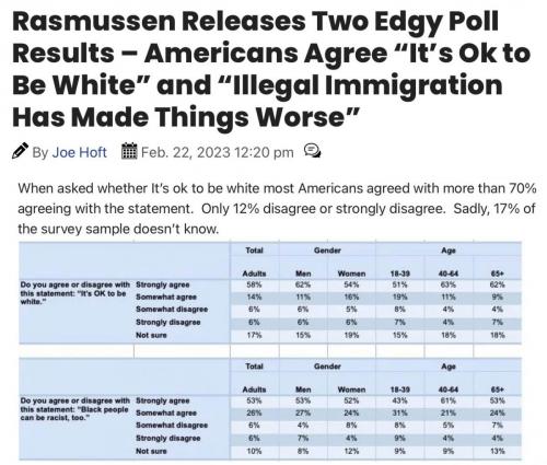 OK to be white poll