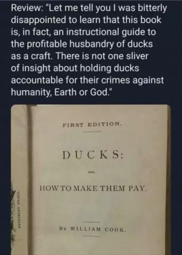 ducks1