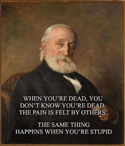 M dead stupid