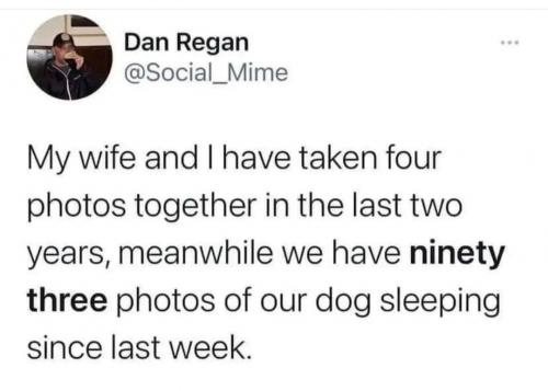 idratherbewithmydog_328422896_199240996016879_4619828069675774658_n