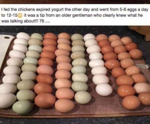 zbmgrein3zvzzugclpn7lsdhxjtf83vw