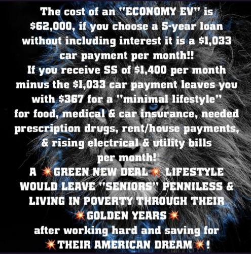 green new deal lifestyle