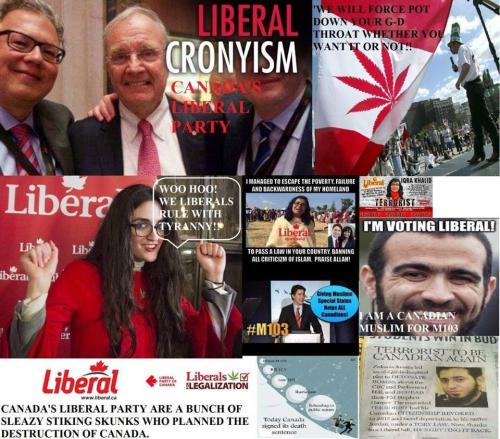 Liberal party 12 - Purge Out these Liberal Skunks