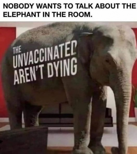 unvaxxed