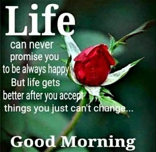 020923 - Life never promised