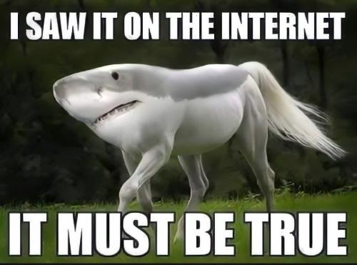 bba8034f0fd6ed93e0f71d3f4d498abc_1024