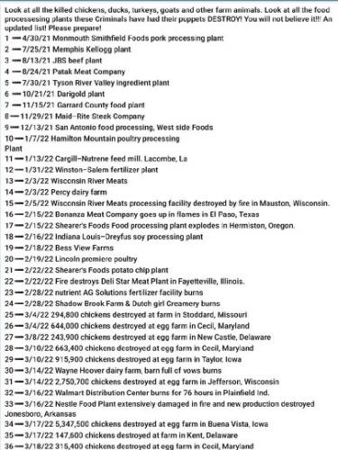 Food Processing Plants burnt down (2021-2022)1