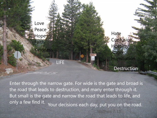 eternal life1