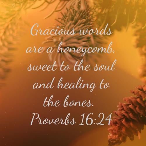 43090b54-0af6-46ab-ad9c-0cd74632b613