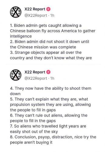 M X22 report