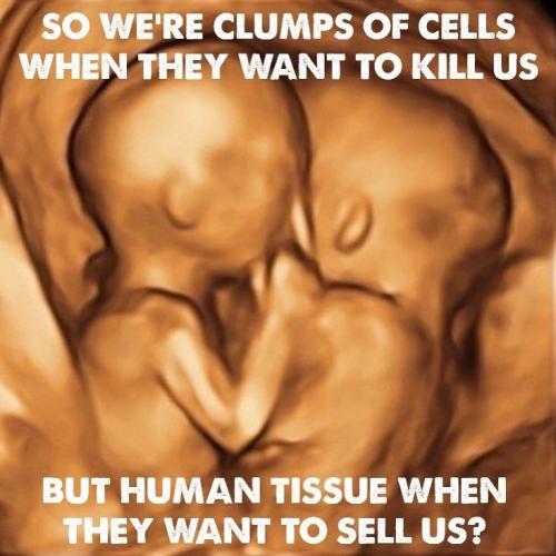 prolife_mama_330979347_1580475582454827_7331998462045923931_n
