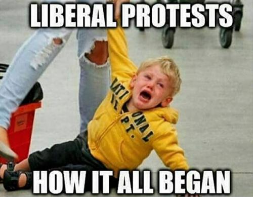 Liberal, Protests, Riots -- The Origin, Spoiled Brat