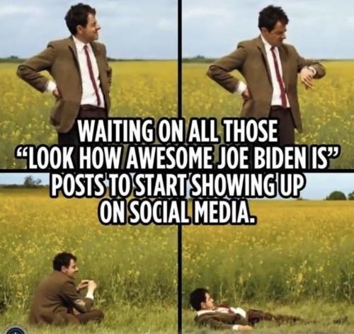 RO awesome Biden posts
