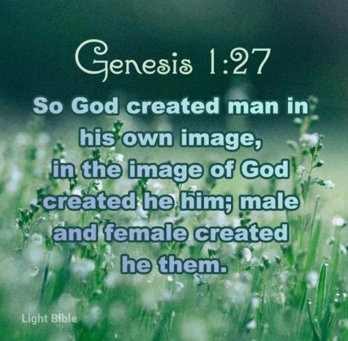 Screenshot_20230201-210439_ King James Bible~2
