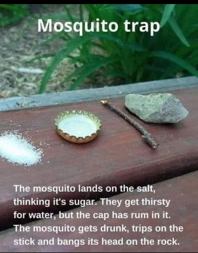 captures_chrome-capture-2023-1-2 (6)