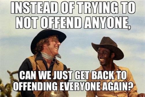 Blazing Saddles, Snowflake, Democrat, Liberal, LGBT, BLM