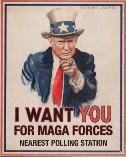 Trump, MAGA Vote 2022