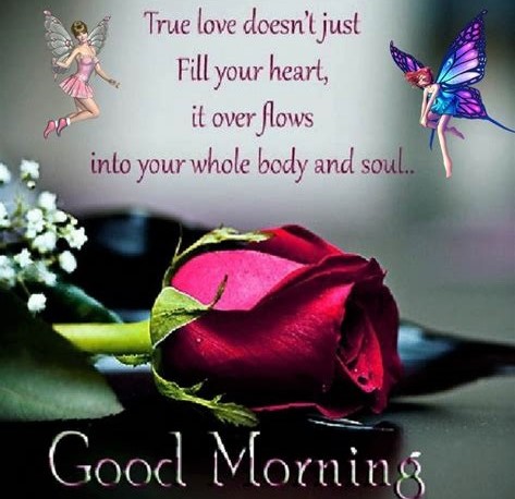 020823- Tue Love Rose