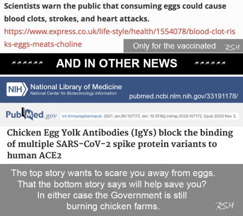 eggs both sides