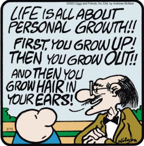 Screenshot 2023-02-15 at 06-59-27 Ziggy by Tom Wilson & Tom II for February 15 2023 GoComics