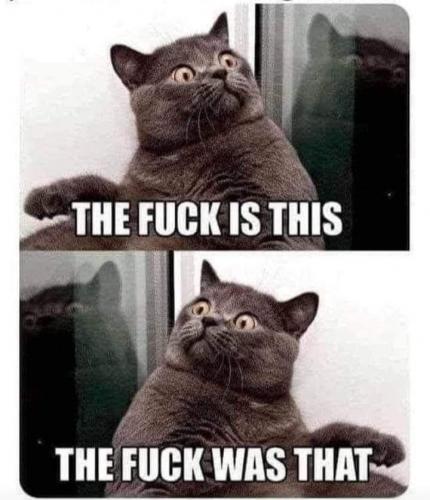 afae72dd-ce6a-4bcc-ad10-25d7b05bf14c