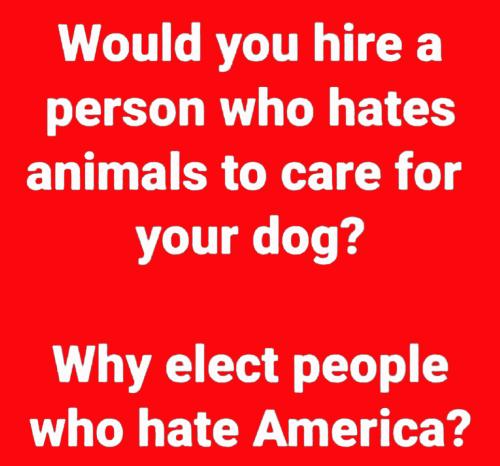 USA hates