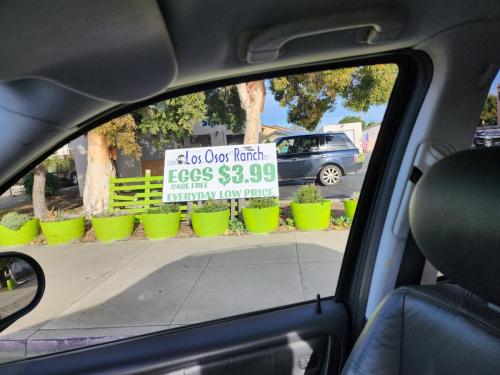 c65b8127-f1ba-41a6-b8d7-9b275bbaf240