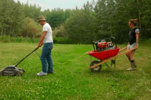lawn