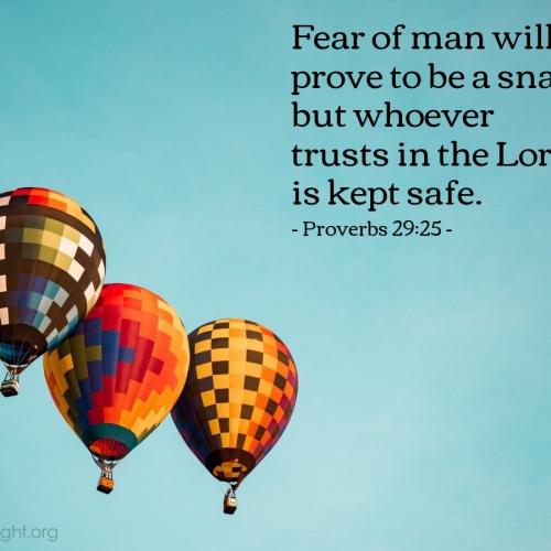 IMG_20230204_132814_857