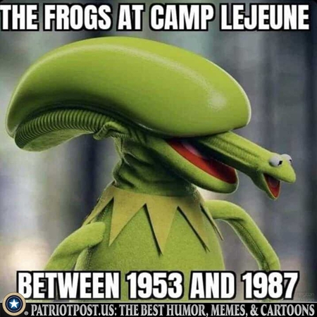 Frogs