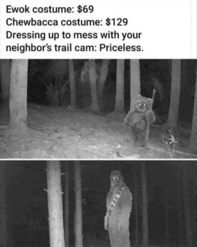 324444405_575654821101717_6451521114351527732_n