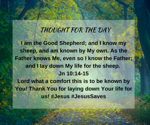 TWEET 2-23-23