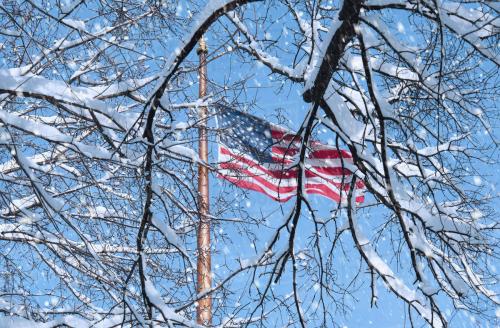 Flag - Through snow-covered trees 1