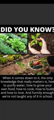 Public Schools -- Natural Nature Schooling