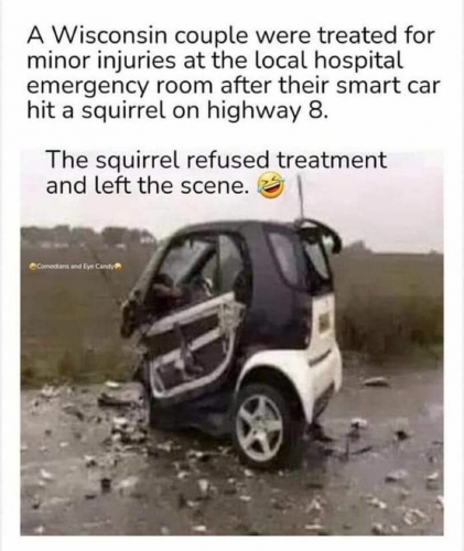SmartCar Accident -- Squirrel