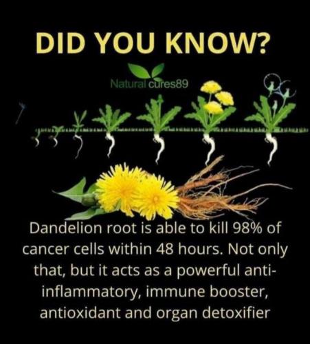 b3ccb48d-8cbb-4a00-9442-fc866061cf5c