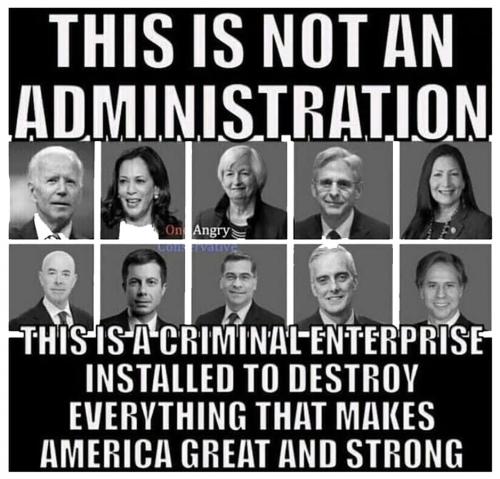 M criminal enterprise