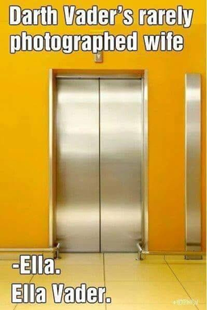 66162699_2416995978511947_8398481146265993216_n