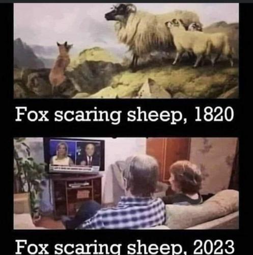 Fox