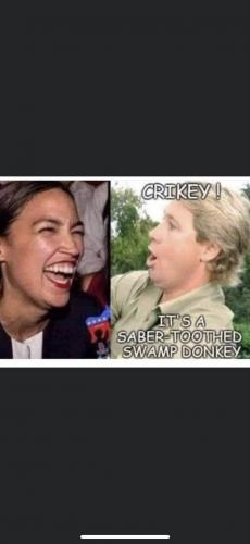 AOC SWAMP DONKEY
